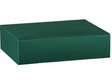 Dėžutė Žalia matinė Cantinetta 3 but. 340x280x90