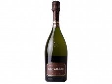 Putojantis vynas Agusti Torello Mata Brut Nature Gran Reserva 2017 0,75 l