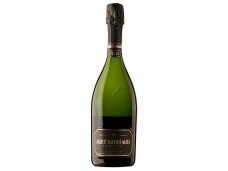 Putojantis vynas Agusti Torello Mata Brut Reserva 2019 0,75 l