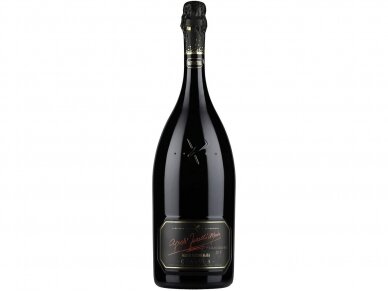 Putojantis vynas Agusti Torello Mata Brut Nature Gran Reserva 2018 Magnum 1.5 l