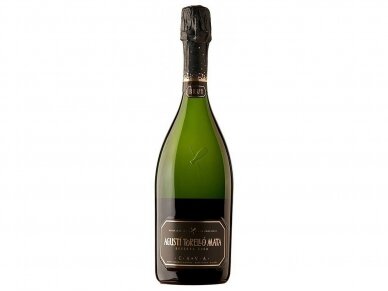 Putojantis vynas Agusti Torello Mata Brut Reserva 2019 0,75 l