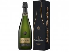 Šampanas Nicolas Feuillatte Collection Vintage Champagne Brut su dėž. 0,75 l