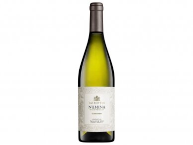 Vynas Salentein Numina Chardonnay Valle de Uco 0,75 l